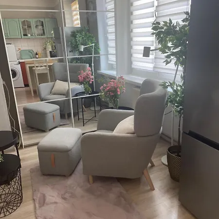 Apartman Tiny With Parking Pyskowice