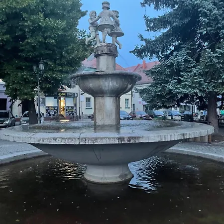 Apartman Tiny With Parking Pyskowice